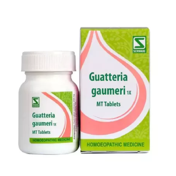 Willmar Schwabe India Guatteria gaumeri 1x Tablets (20g)