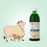 KRISHNA'S HERBAL & AYURVEDA Gomutra Ark | Natural detoxifier| 100% Pure & Natural Go Ark | Indian Tharparakar Gomutra | Sugar free Juice with No Added Color or Flavour - (500 ML) - Image 3