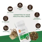 Krishna's Dhatupaushtik Churna (50 Gm) For Nutrition Care - Image 4
