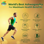 Ashwagandha 66 (KSM-66) (60 Capsules) For Stress, Strength & Vitality - Image 3