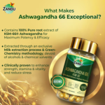 Ashwagandha 66 (KSM-66) (60 Capsules) For Stress, Strength & Vitality - Image 4