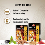 Dabur Shilajit Gold Capsule for Men (20 Capsules) For Immunity, Strength, Stamina & Power - Image 2
