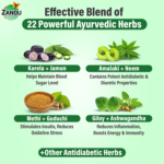 Zandu Dia-BTS Tonic (650ml) For Maintain Healthy Sugar (Glucose) Level - Image 3