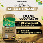 Zandu Shilajitprash (Chyawanprash) with Shilajit (450gm) for Immunity, Strength & Stamina - Image 4